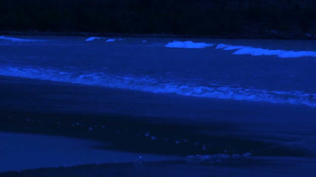 Moonlit Sea Waves & Sad Piano Music for Deep Sleep, Anxiety Relief and Quiet Nights