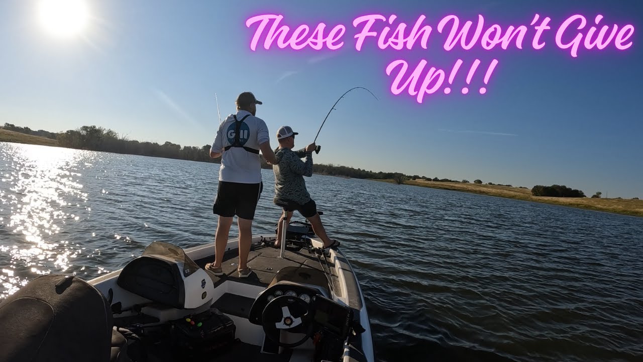 Рыбалка ранней осенью на озере Буа д'Арк!!! - Самая упорная рыба, которую мы когда-либо видели!!!