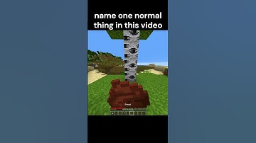 BRO DO NOT CHECK THE SOUND 💀 #minecraft #shorts #memes