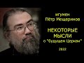 Некоторые мысли о "будущем Церкви" / иг. Пётр Мещеринов 28.05.2022