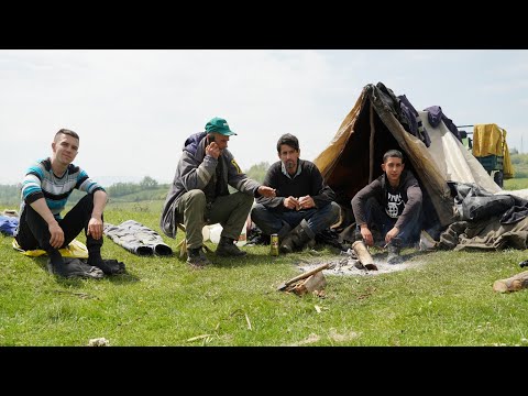 Video: Ko su bili nomadski stočari?