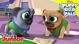 Bobs Missing Lunch Puppy Dog Pals Disney Channel Africa