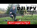 DJI FPV - Ridiculously FUN but Legal to Fly?