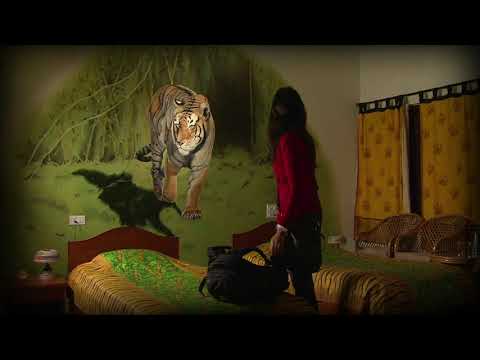 Jungle Lodges & Resorts | Skyway International Travels - video from Skywaytour