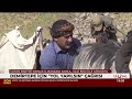 Vatan Partisi Şırnak İl Başkanı, Şırnak Valisi ile görüştü! Demirtepe için "yol yapılsın" talebi