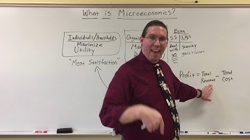 What is Microeconomics? - Professor Ryan