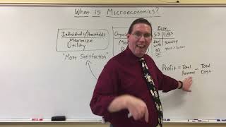 What is Microeconomics? - Professor Ryan