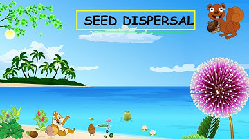 CBSE: Class 5: Science: Ways Of Seed Dispersal with plant names