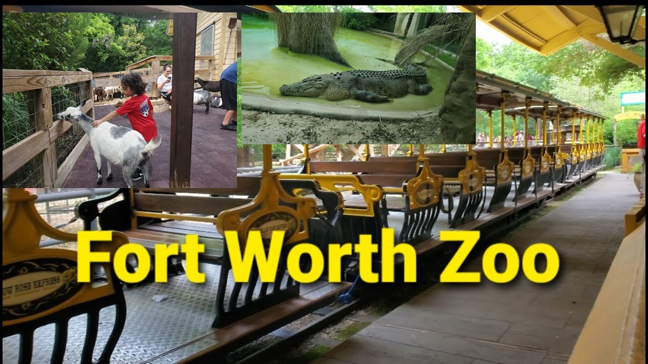 Fort Worth Zoo 2021 | TEXAS TOWN | PETTING | FUN ON THE TRAIN | GO GROW GRACE