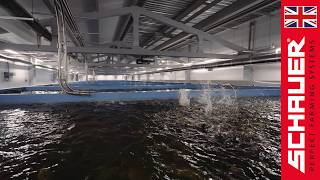 🎥 Spotmix Fish in Operation – Modern Aquaculture in Eastern Europe