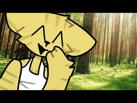 Tea errors part 5