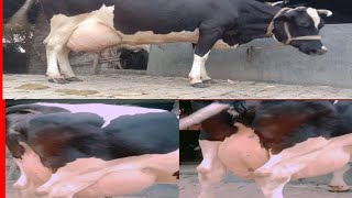 30 থক 35 লটর এর অরজনল ফরজযন গভ যর নত চন যকন পরমরশর জনয যগযগ করন