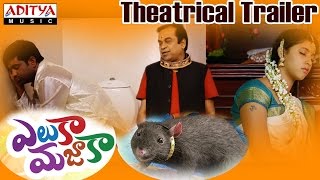 Video Eluka Majaka Theatrical Trailer || Vennela Kishore, Brahmanandham, Raghu Babu, Pavani download MP3, 3GP, MP4, WEBM, AVI, FLV Juni 2018 Video Eluka Majaka Theatrical Trailer || Vennela Kishore, Brahmanandham, Raghu Babu, Pavani download MP3, 3GP, MP4, WEBM, AVI, FLV Juni 2018