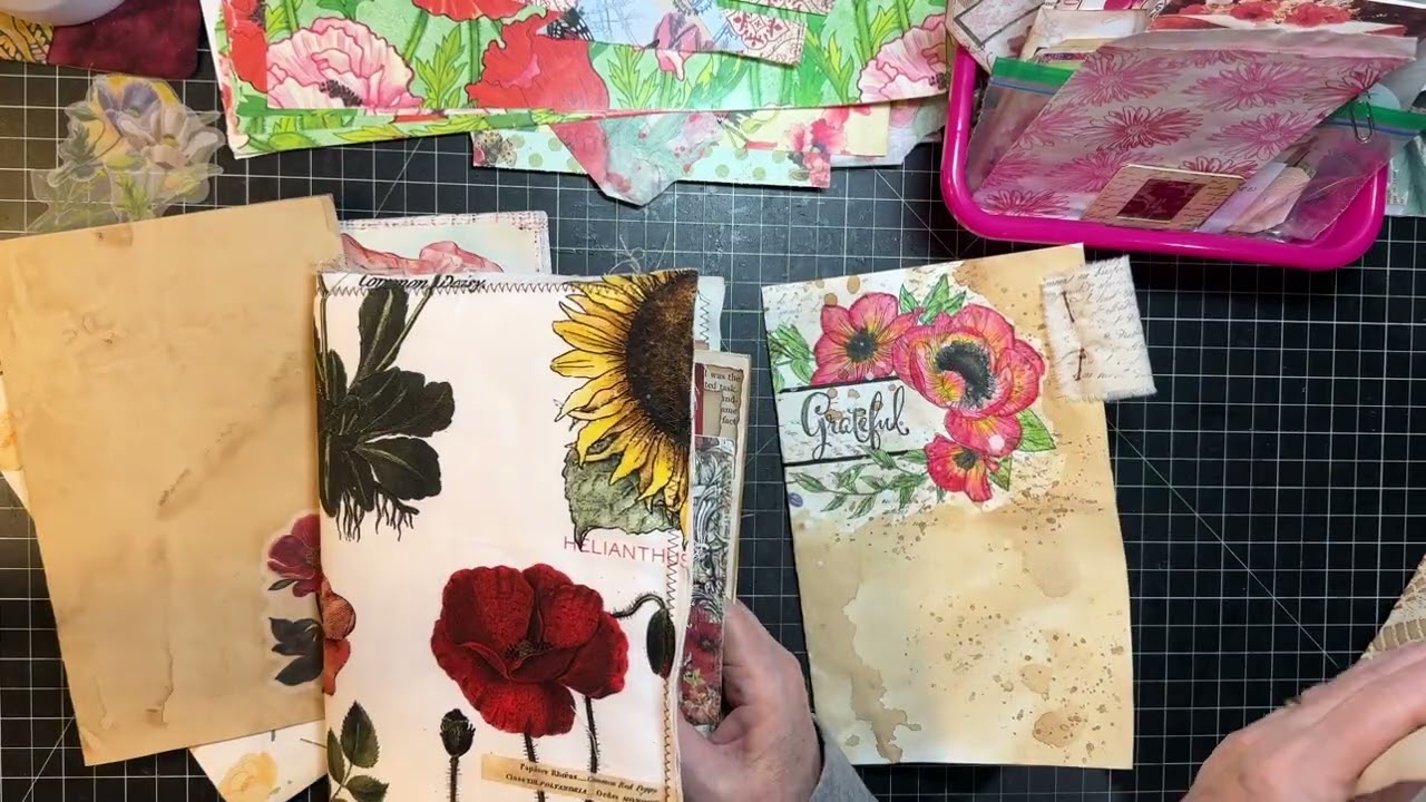 Poppy Journals Series - Part 1