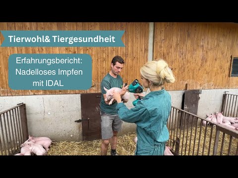 Needle-free vaccination - For better animal welfare and animal health