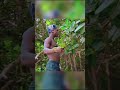 Agridigitale: la meilleure agence de production audiovisuelle du monde agricole et rurale