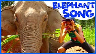 Elephant Dance Song Elephants For Kids