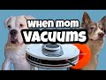 When mom vacuums