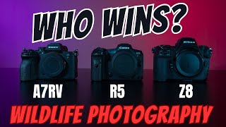 Nikon Z8 vs Canon R5 vs Sony ARV : $4K Wildlife Photography Camera Shootout. Who Wins?