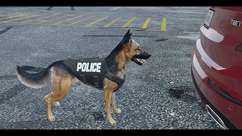 [Qbus] K9 Unit with Search Abilities | FiveM Development | Qbus Framework