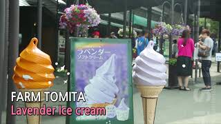 [KURUKURUBUS] HOKKAIDO FARM TOMITA MARKET