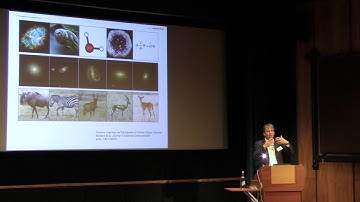 Connecting with the Crowd: Professor Chris Lintott Keynote