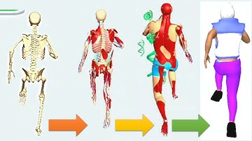 DNA Run 3D - All Levels Gameplay Android ios Levels 13-14