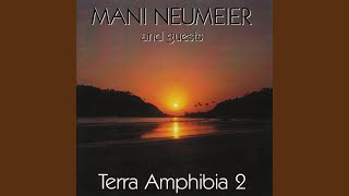 Download Lagu Fungle MP3