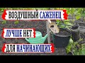 🍇 Если сделаешь ЭТО в ИЮНЕ, то осенью получишь мощный САЖЕНЕЦ ВИНОГРАДА. Воздушный отводок.