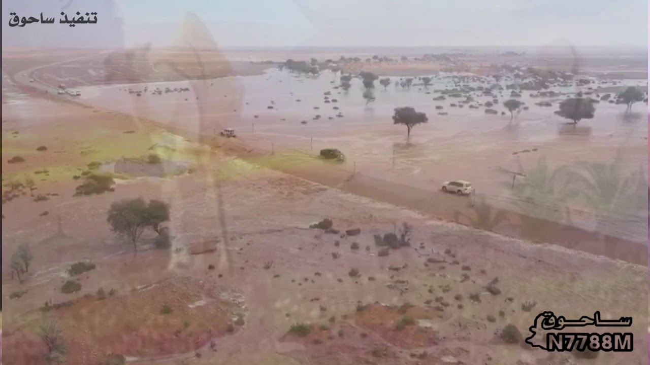 ام الحوير كلمات حويد حبيليص المرشدي  أداء مرزوق  العطاوي