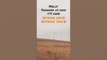 When you don’t practice #hunting #pheasant #bird #pheasanthunting #huntingdog