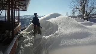 gardaş