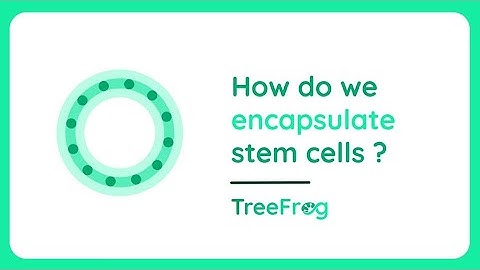 C-Stem™: How do we encapsulate stem cells I TreeFrog Therapeutics