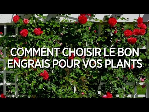 Comment choisir le