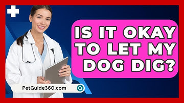 Is It Okay To Let My Dog Dig? - PetGuide360.com