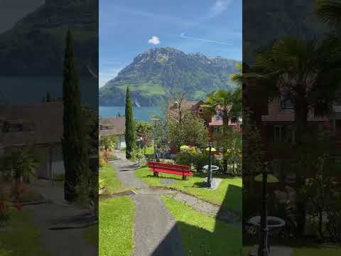 Living the idyllic dream at lake Lucerne 🇨🇭 have a great summer ☀️👋#new #shorts #status #live