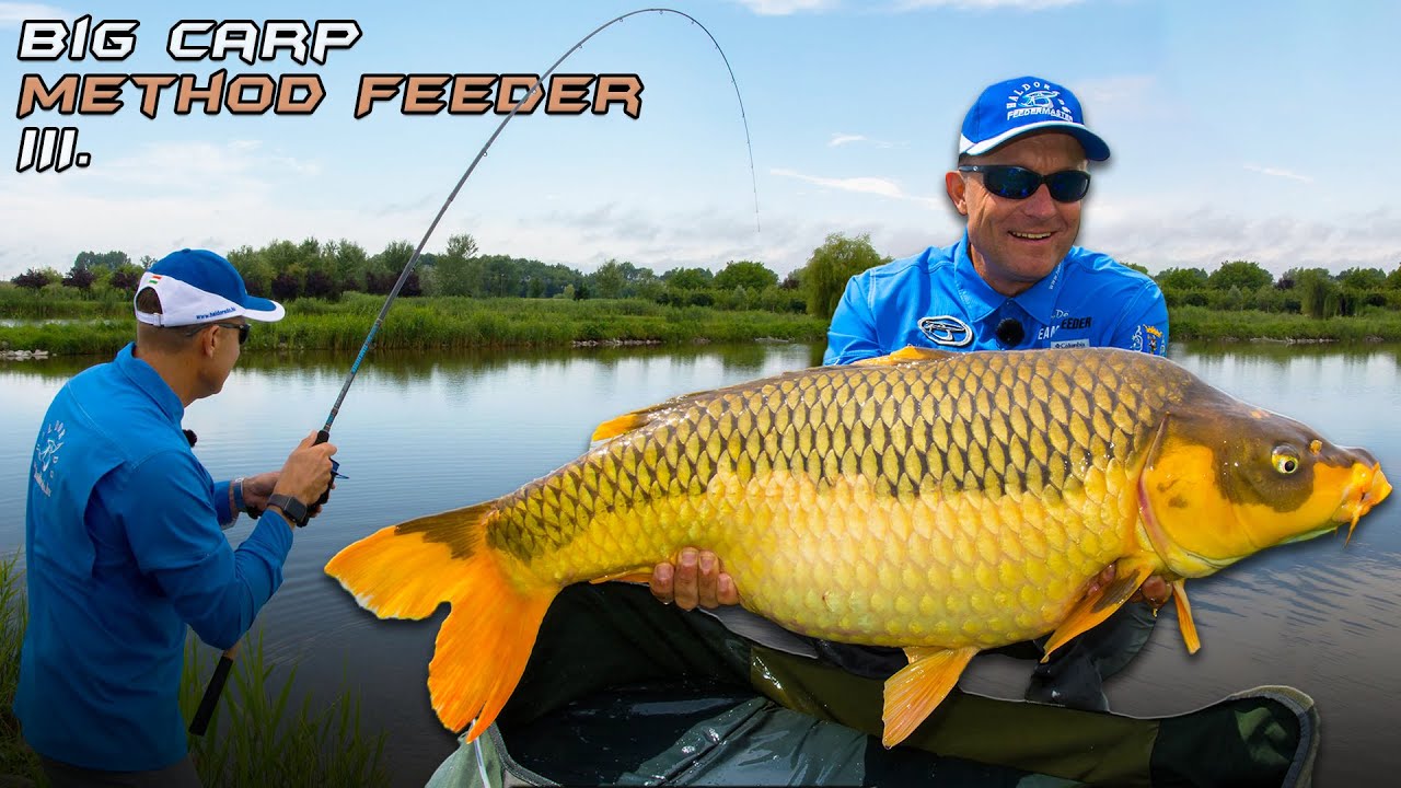 Быстрый фидер С Доме Габором Прибрежный флэт на озере Эзюшт Тов.