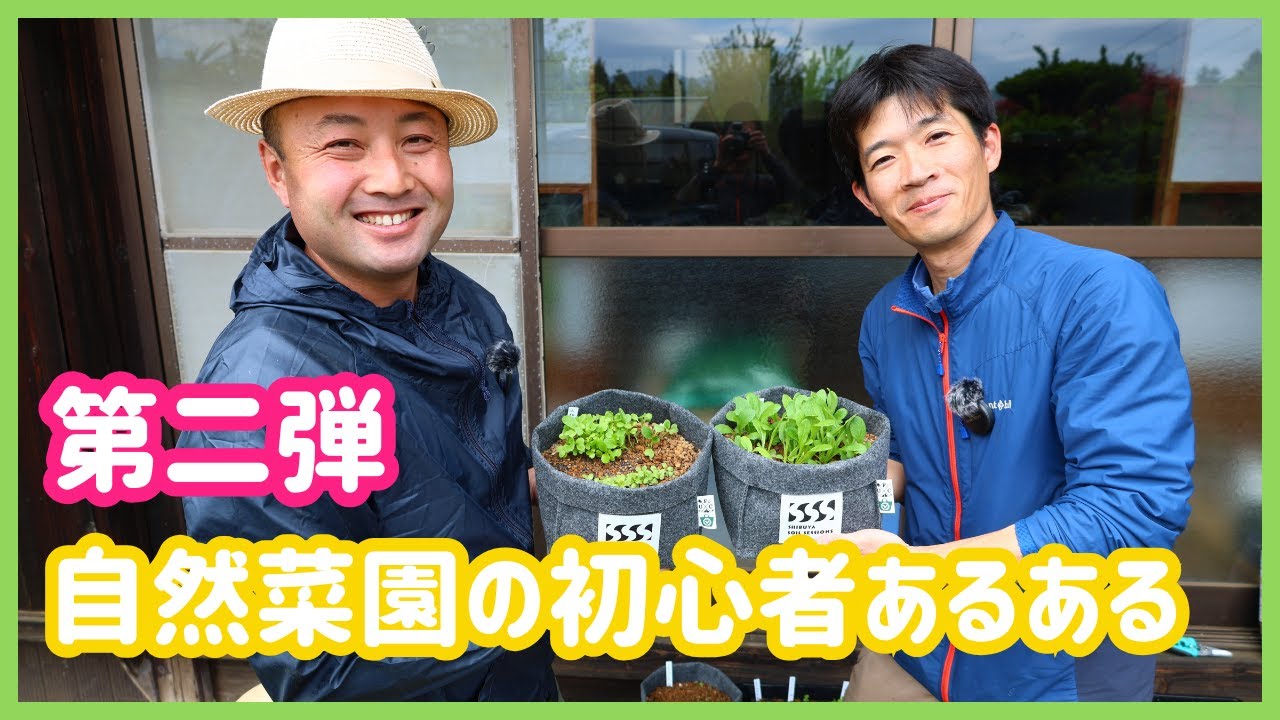 【自然菜園入門編】庭先、育苗とプランターの育て方のコツ