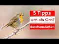 So wirst du 2021 ein besserer Ornithologe | 5 Tipps