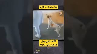 الكلب الذي جعل صاحبه يبكي بحرقه ، وفاء الكلاب يا ساده #shorts