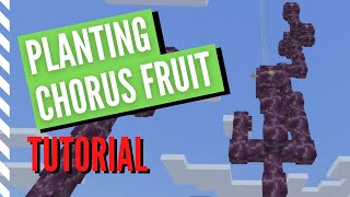 How to Plant CHORUS FRUIT in Minecraft