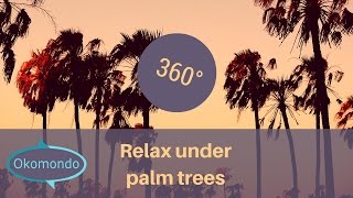 Relax Under Palm Trees Vr 360