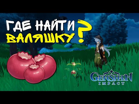 Где найти валяшку? Genshin Impact ver. 2.3