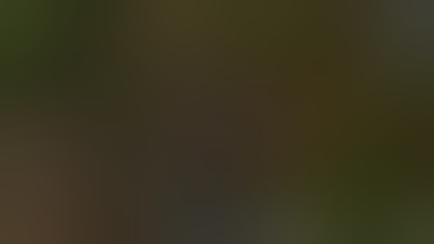 Factorio - Biter war, easy mode