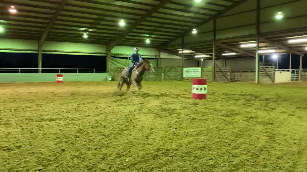 Vodka - Sharin Hall Barrel Horses