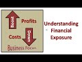 Understanding Financial Exposure