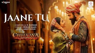 Jaane Tu ❤️ | Chhaava | Vicky Kaushal | Rashmika Mandanna | Lyrics