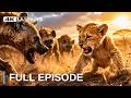 Orphan Lion - The Longest Day on the Savanna | FULL EPISODE | Wildlife Documentary
