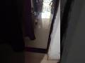 My home is filled with rainwater #government #youtube #vlog #youtubeshorts #maharashtra #modi #vibe