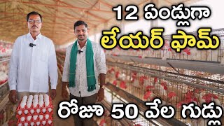 మూడు లేయర్ ఫామ్స్.. 69 వేల కోళ్లు | Layer Eggs Farming | రైతు బడి